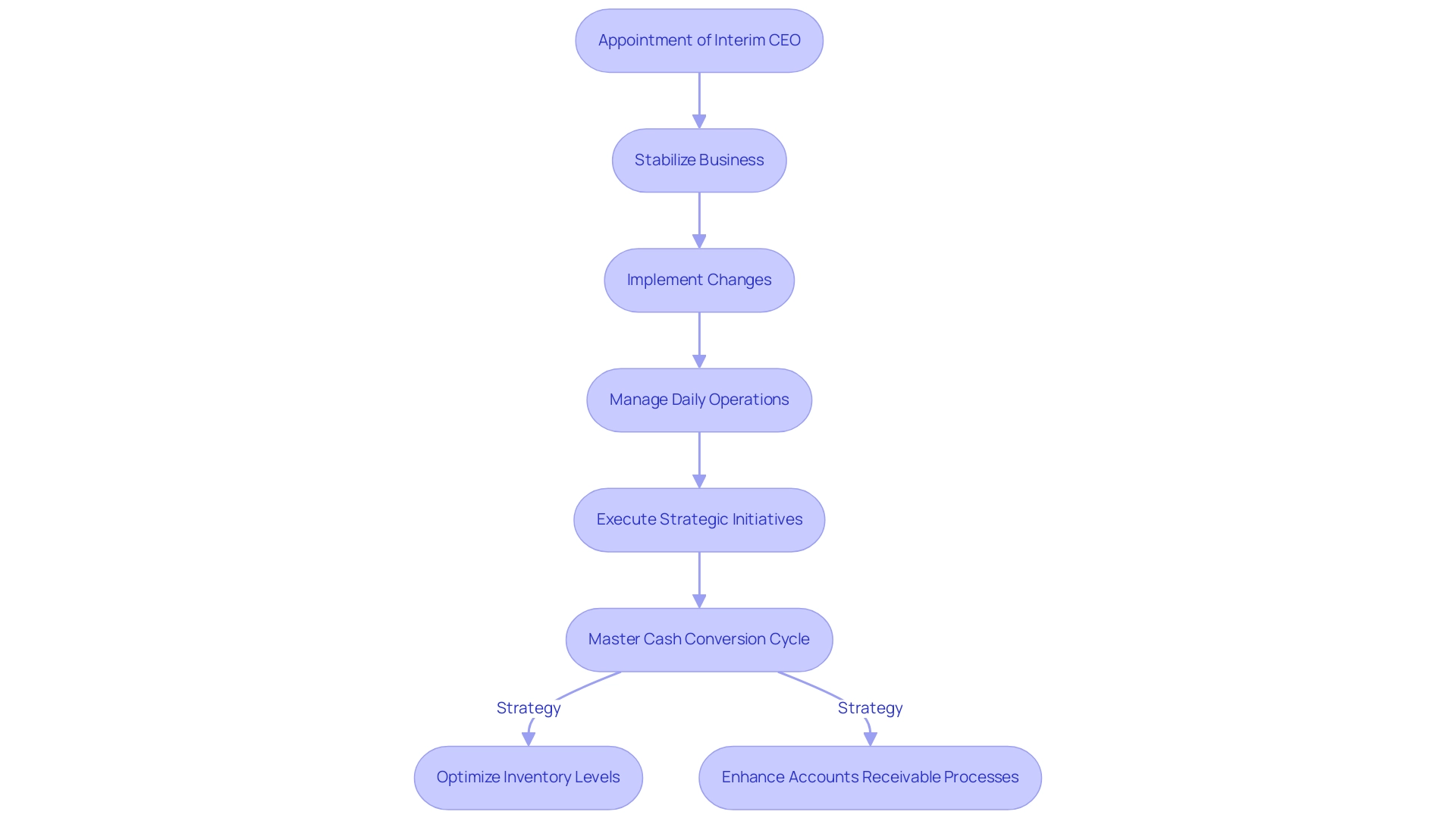 Each box represents a key action taken by the interim CEO, with arrows indicating the sequence of these actions. Side notes highlight strategies for financial improvement.