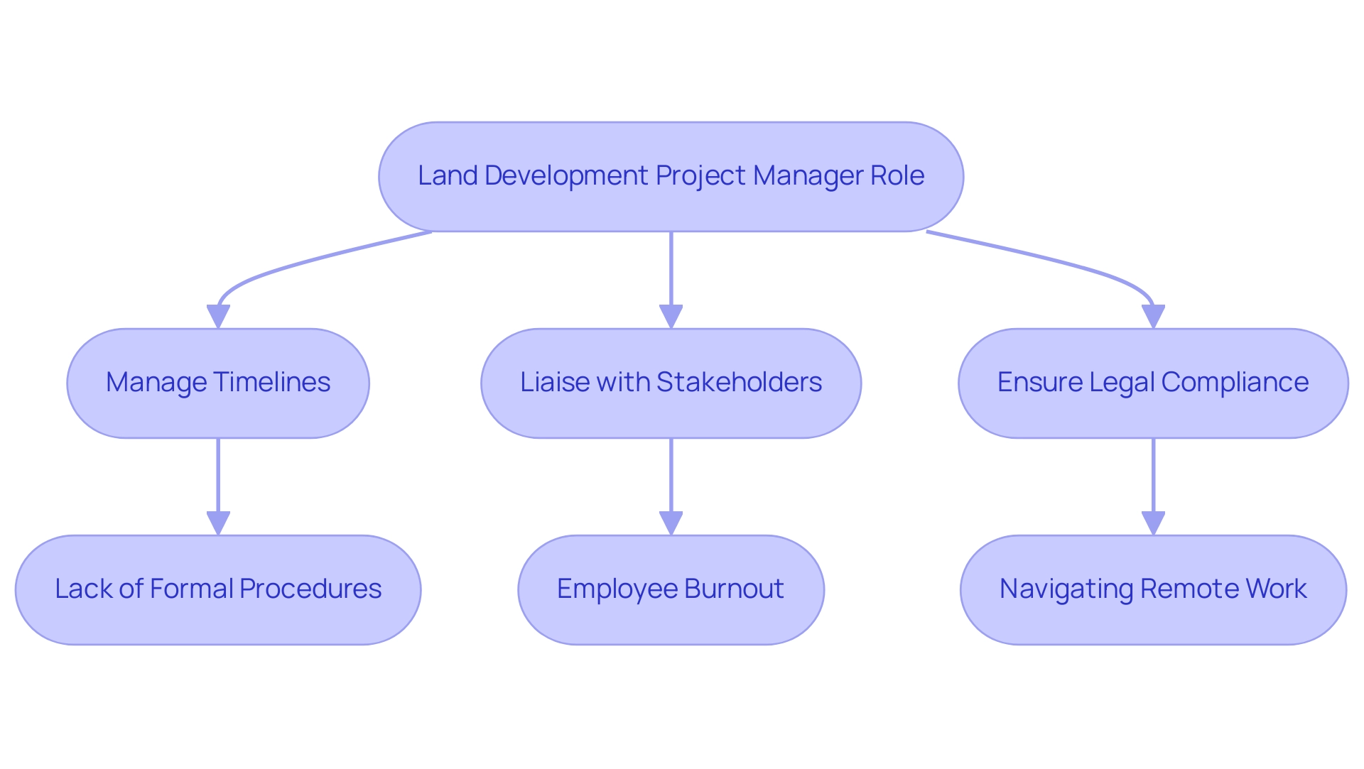 Blue boxes represent key responsibilities, while red boxes indicate challenges faced by the project manager.