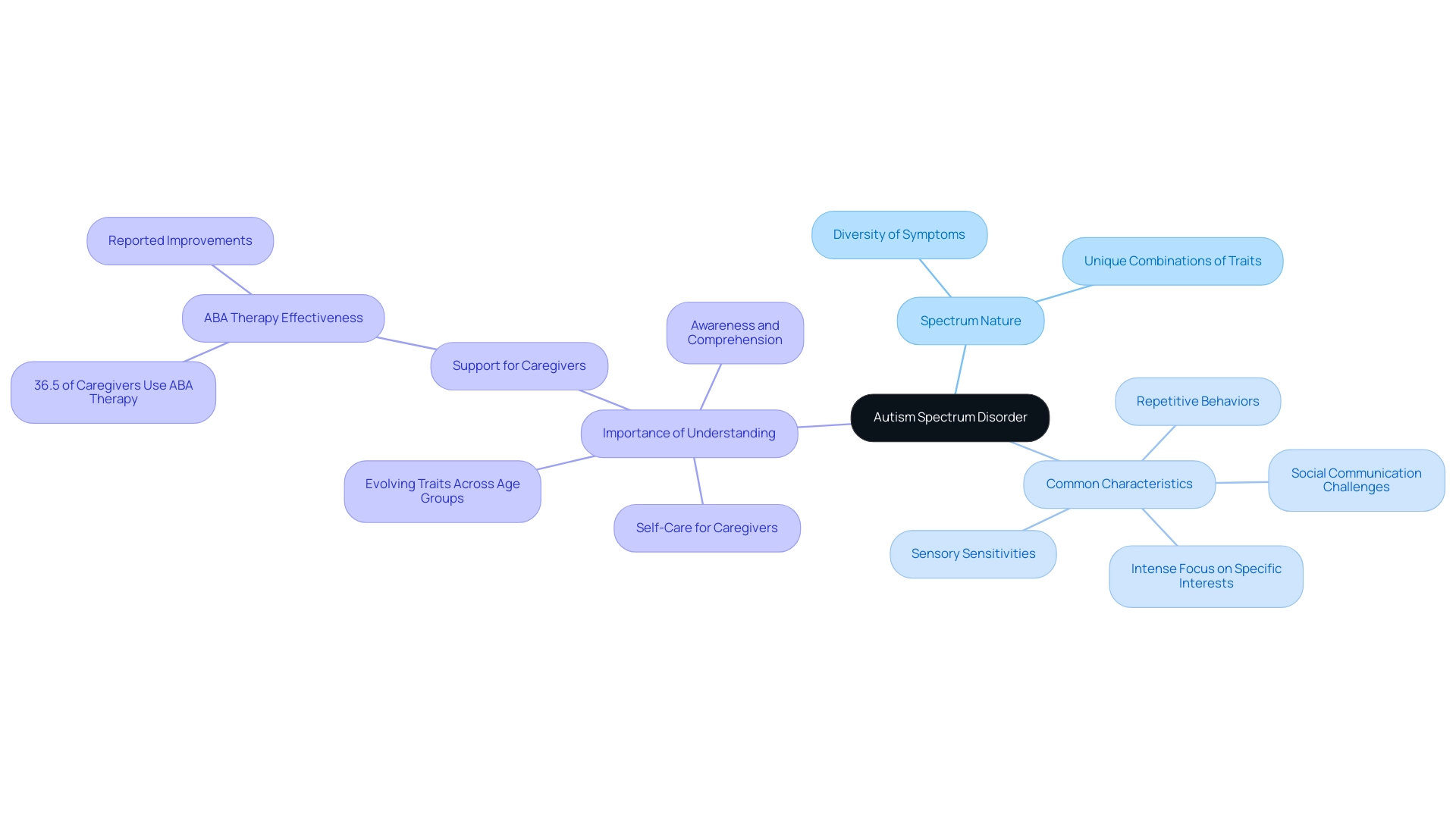 The central node represents Autism Spectrum Disorder, with branches showing different key concepts and their respective characteristics.