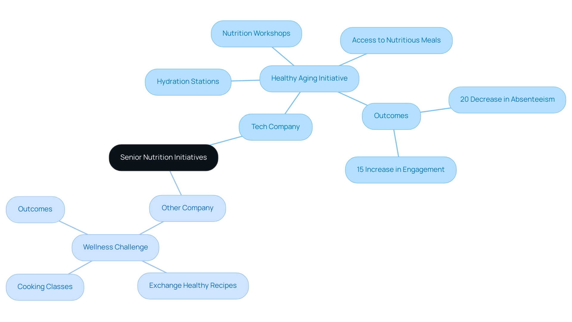 Central node represents the main topic of senior nutrition initiatives, with branches for each organization and sub-branches for specific initiatives and their outcomes.