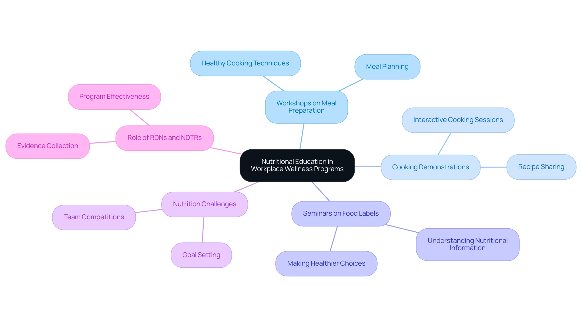 The central node represents the initiative, with branches indicating the main components of the program, each color-coded for clarity.