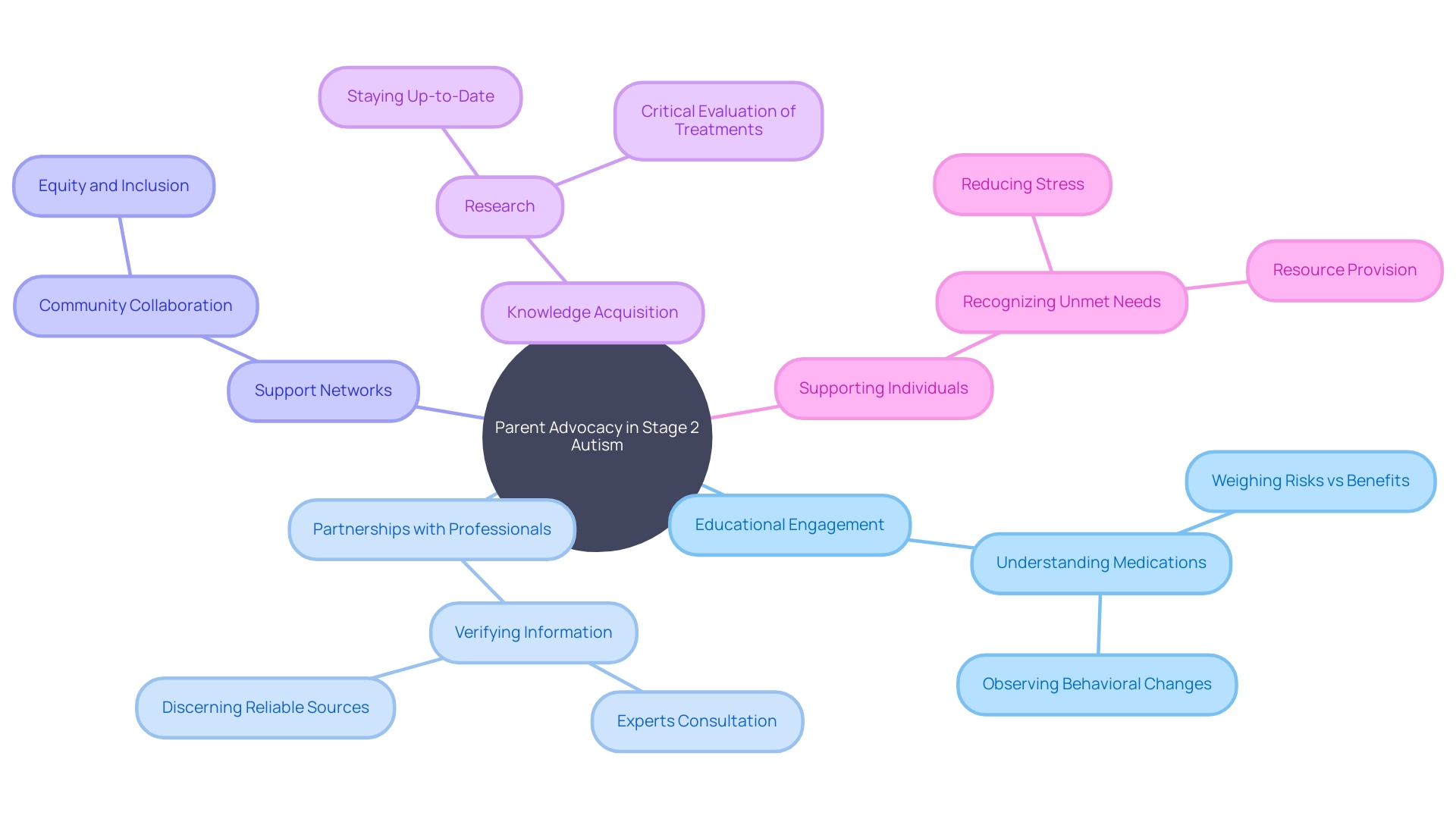 Understanding the Role of Parent Advocacy in Navigating Stage 2 Autism