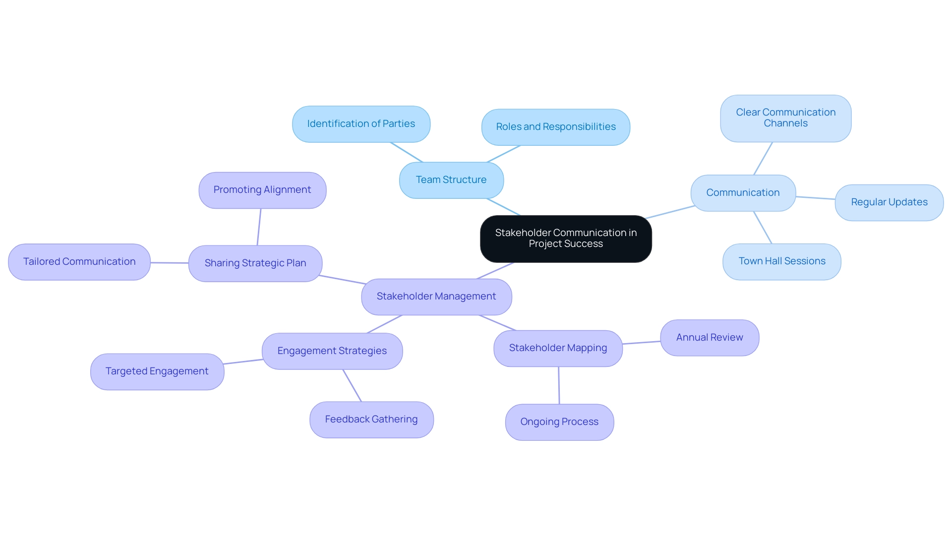 The central node represents the overall theme of stakeholder communication, with branches showing the main areas of project management and their respective subcategories.