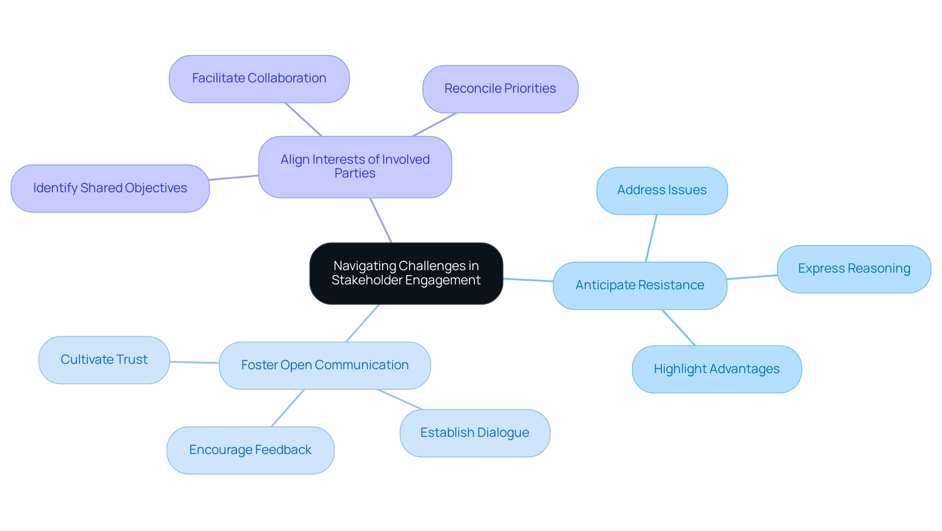 The central node represents the main topic, with branches indicating specific strategies to address challenges in stakeholder engagement.