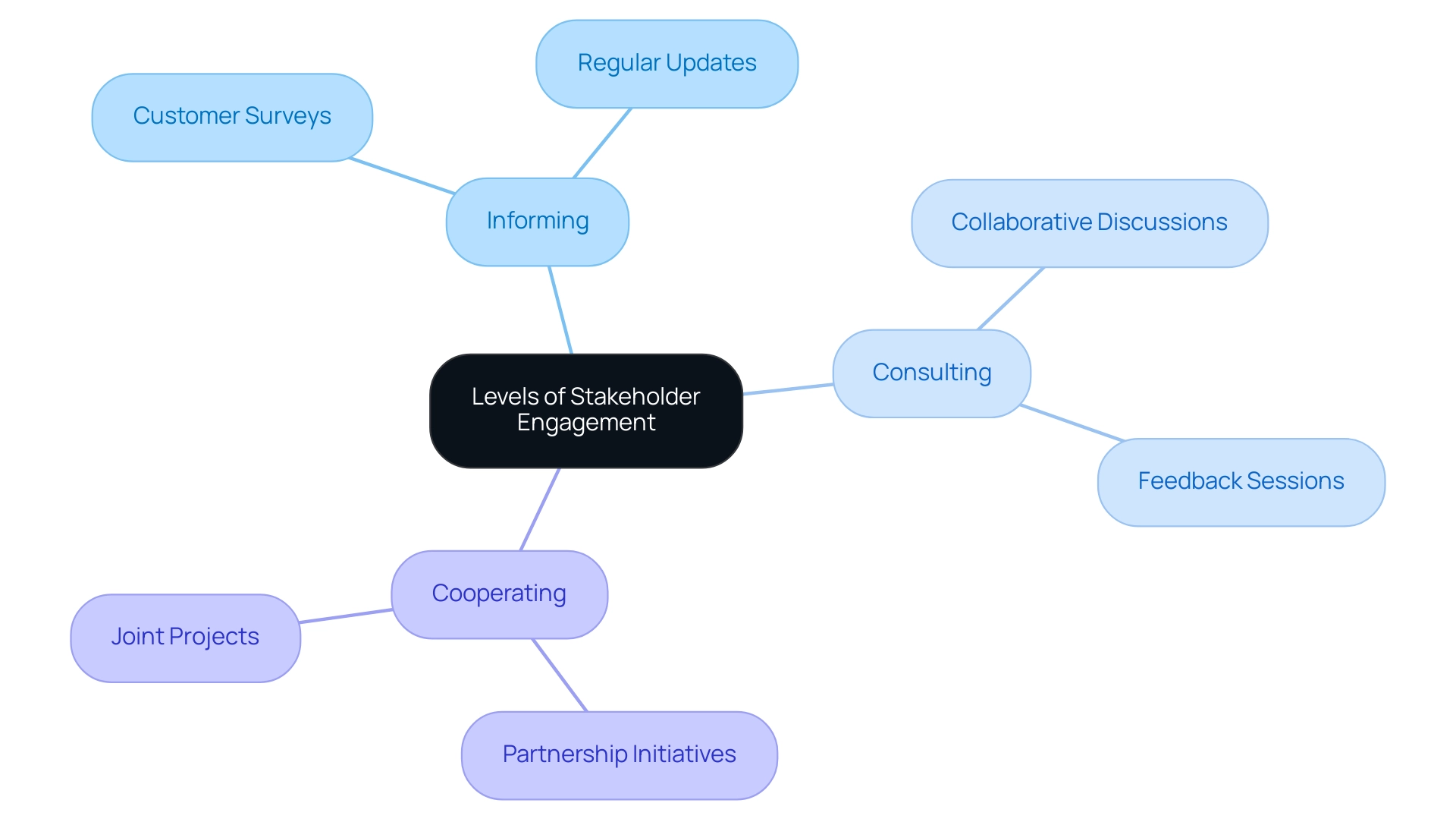 Each main branch represents a level of stakeholder engagement, with sub-branches detailing specific strategies and examples related to that level.