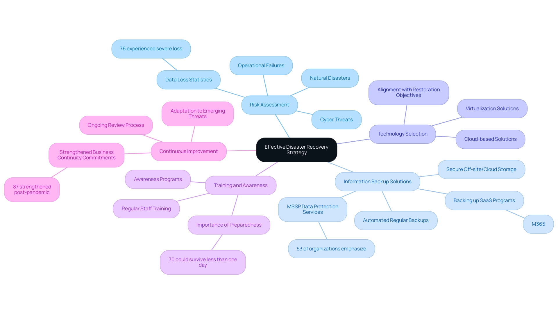 Each branch represents a key component of the strategy, with sub-branches illustrating specific aspects or statistics related to each component.