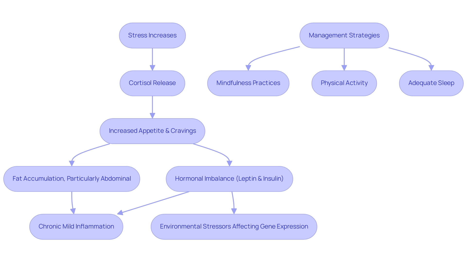 Boxes represent different stages in the process: 'Stress' (light blue), 'Hormonal Changes' (light green), 'Fat Distribution' (light orange), and 'Management Strategies' (light purple) for clarity.