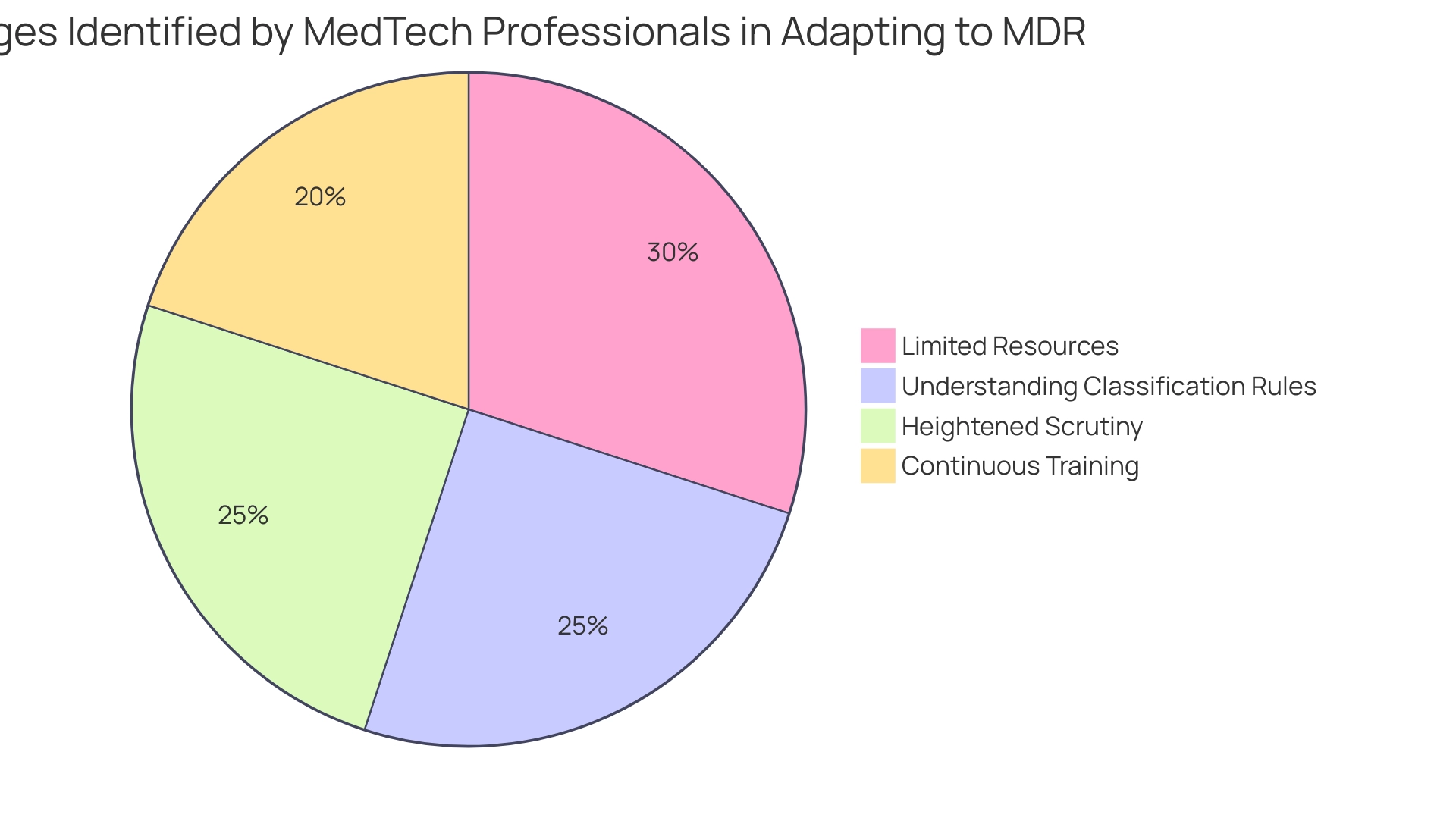 Each slice represents a challenge faced by MedTech professionals, with sizes corresponding to the prominence of each challenge.