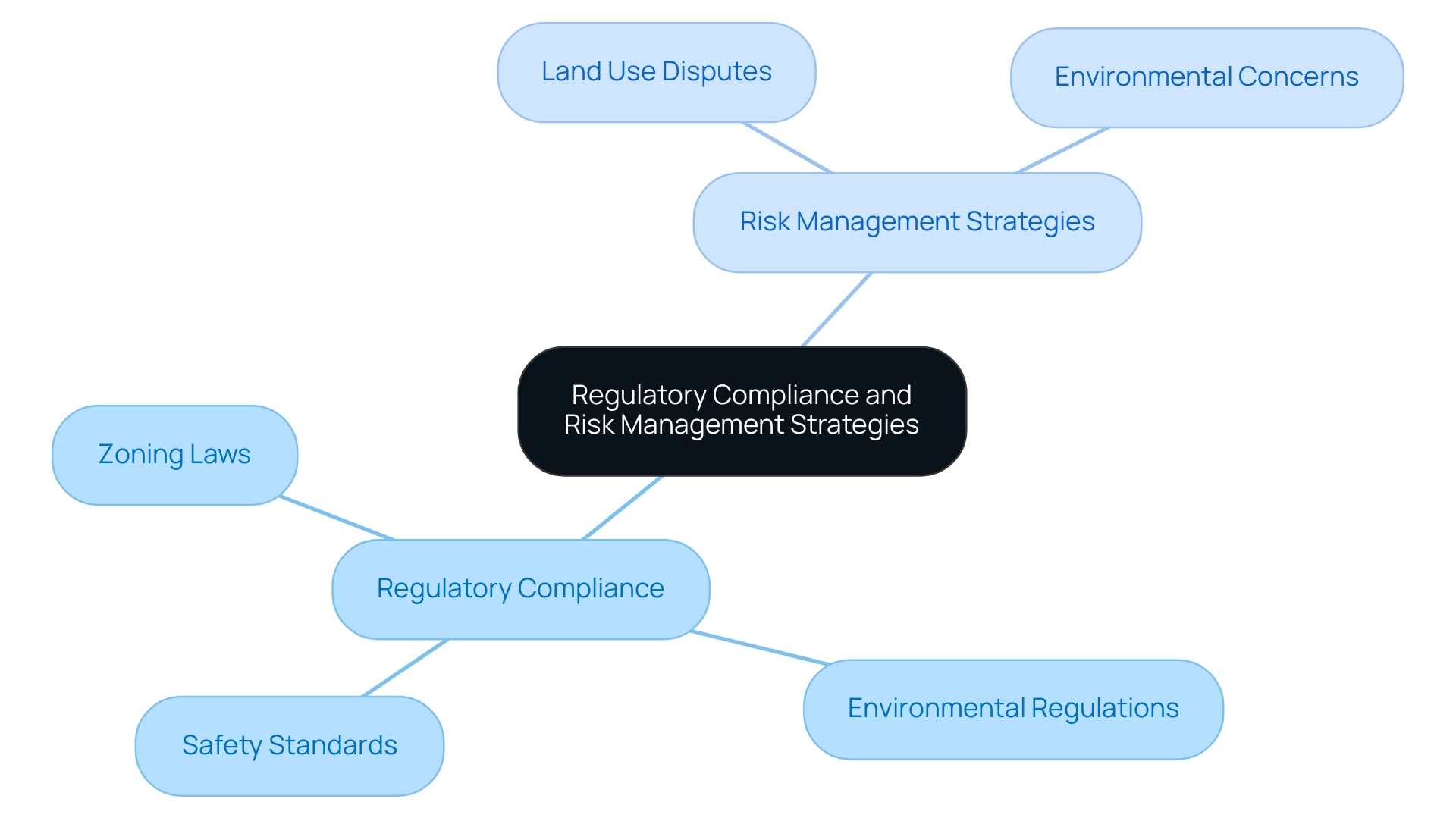 The central node represents the overall theme, with branches for compliance and risk management strategies. Different colors denote the specific areas of focus.