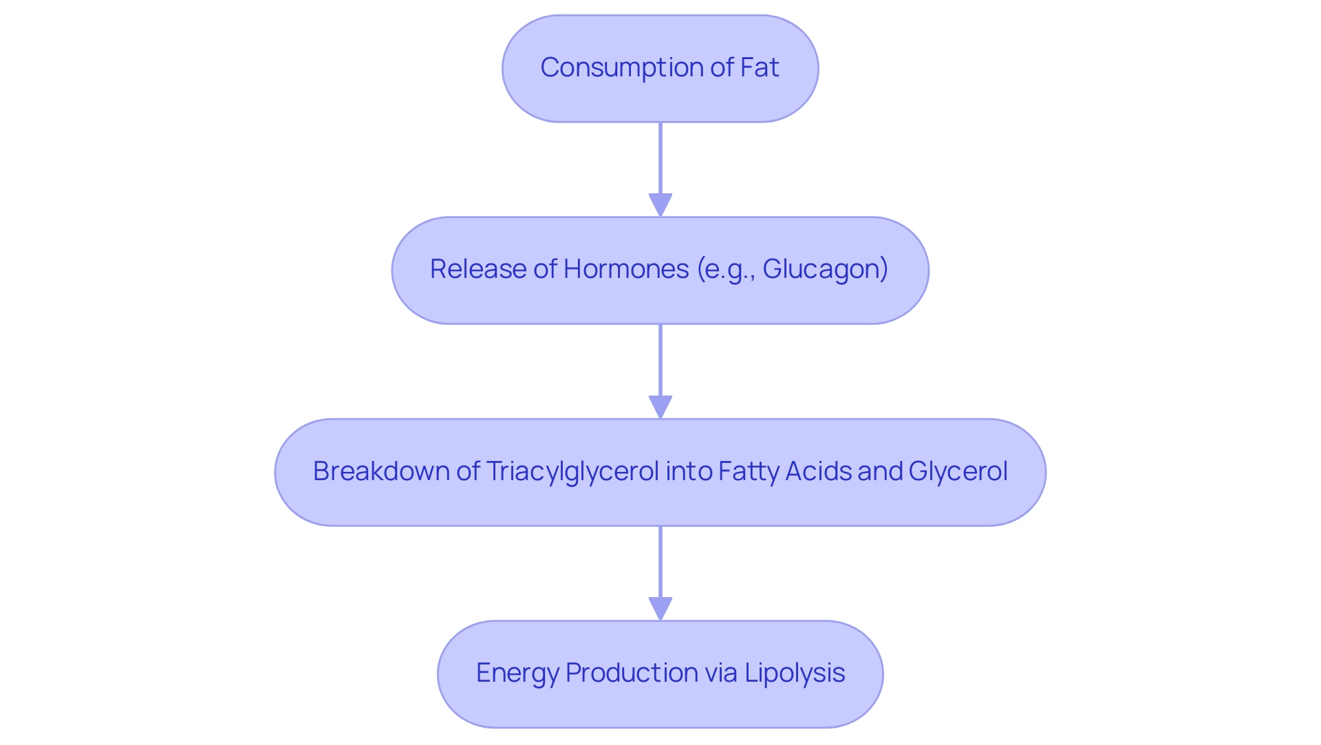 Each box represents a step in the fat metabolism process: green for consumption, blue for hormonal actions, yellow for breakdown processes, and orange for energy production.