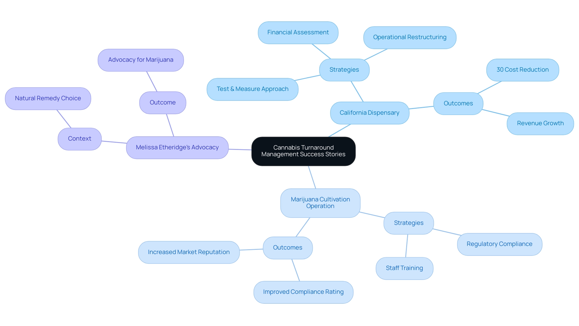 Each branch represents a case study with strategies and outcomes, color-coded for clarity. Sub-branches detail specific actions taken and their results.