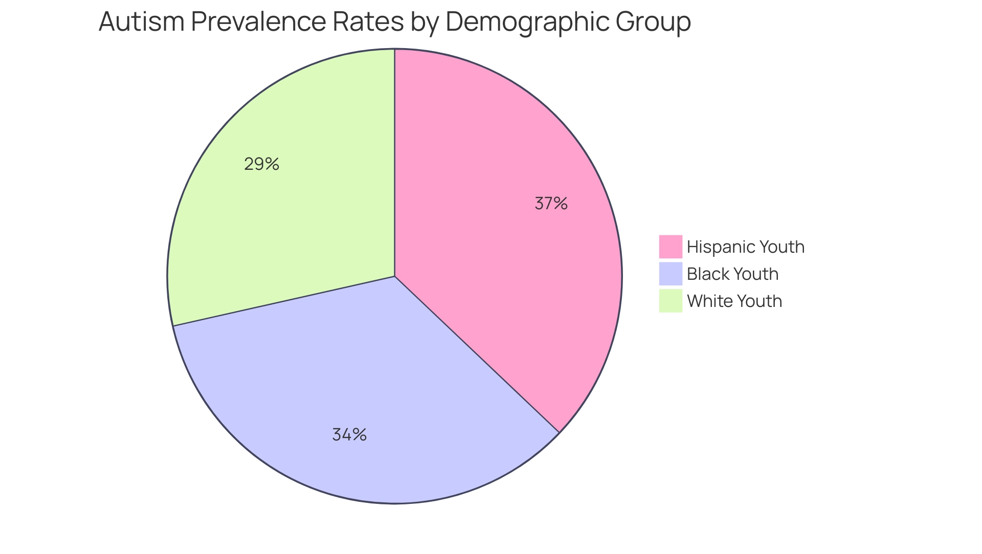 Each slice represents the prevalence of autism among different demographic groups: Hispanic, Black, and White youth.